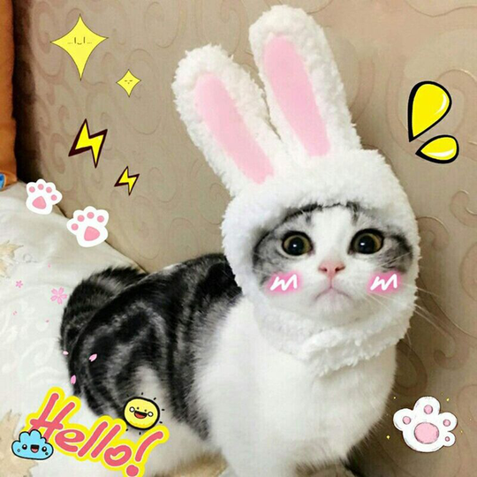 Cute bunny hat with ears, suitable for cat and small dog party costumes, props; Halloween, headwear