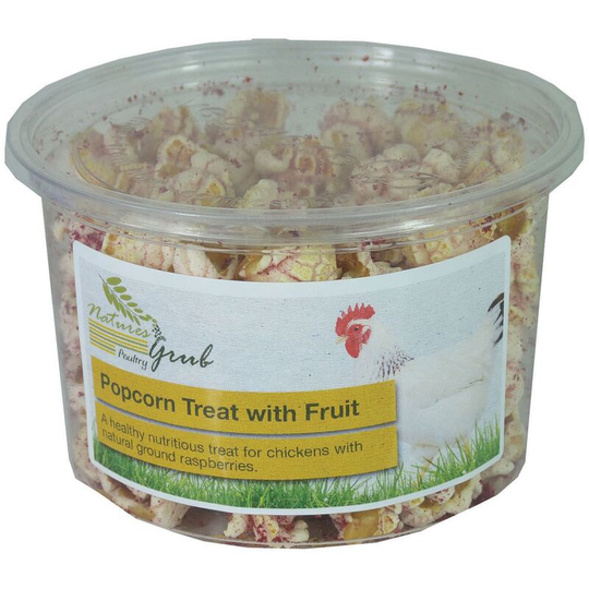 Natures Grub - Poultry Popcorn Treat With Fruit (Pack Of 6) (May Vary) - May Vary