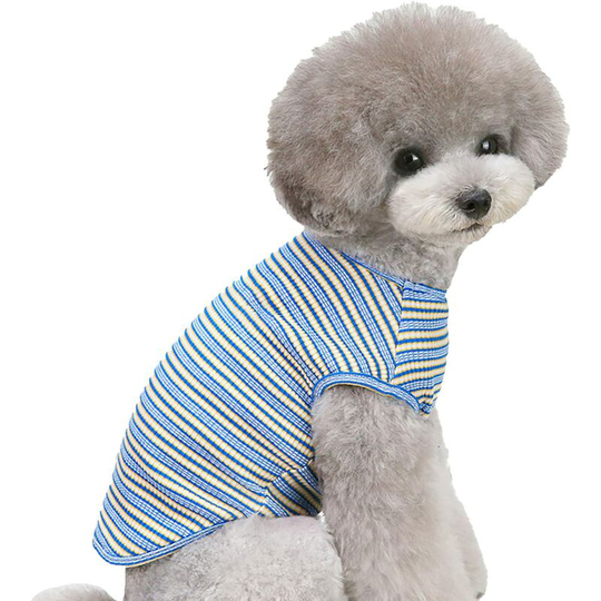 Colorful Striped Dog T-Shirt Breathable Pet Vest Summer Blue Dog Sleeveless T-Shirt (Blue)