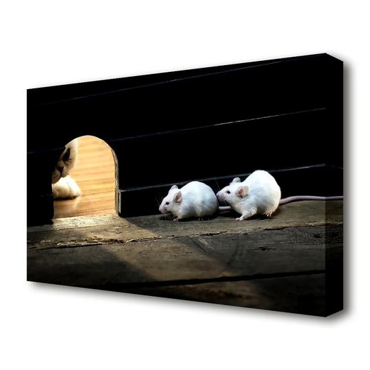Cat And Mice - Wrapped Canvas Photograph Print