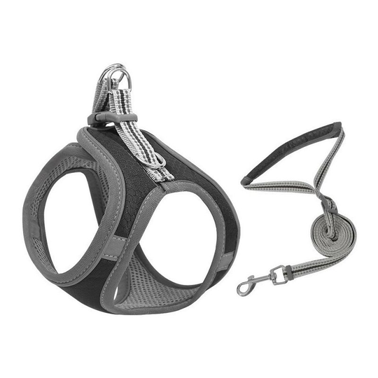 Sun Flowergb - Cat Harness and Leash for Walking, Adjustable Cat Leash and Harness, Lifetime Replacement, Lightweight Kitten Harness, Easy Control