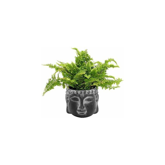 Buddha Head Plant Pot Planter Garden Decor Flower Succulent Cactus Indoor Home