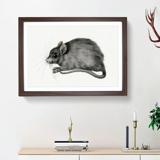 A Mouse by Jean Bernard - Picture Frame Painting Print on Paper