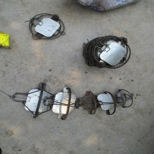 (Type) Steel Spring Trap For Wild Boar, Rabbit, Vole, Fox, Coyote, Muskrat, Fisher, Mink (colorless)