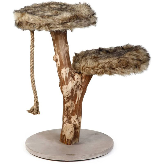 Scratch Furniture Aviva 50x50x68 cm Wood Designed By Lotte Brown