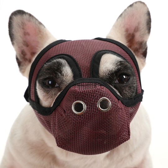 Dog Muzzle Breathable Mesh for Short Snout Dogs Prevent Biting Barking,Burgundy,Large - Burgundy,Large