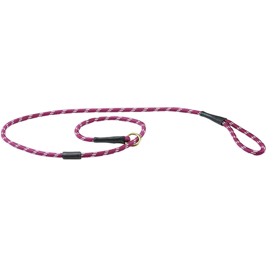 Rope Leather Slip Dog Lead (1.2m) (Burgundy/Brown) - Burgundy/Brown - Weatherbeeta