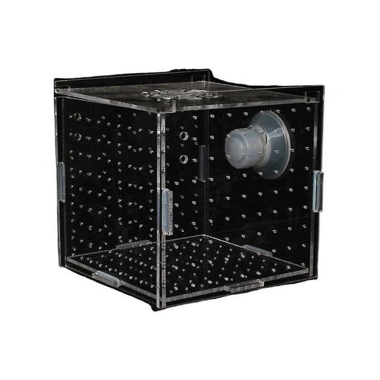 Fish Tank Transparent Aquarium Isolation Box Small Fry Incubator 12x12x12cm