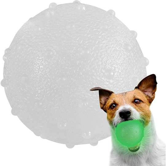 Light-Up Dog Ball Interactive Dog Ball Night Light Fetch Dog Toy Ball Glow Squeaky Exercise Ball for Dog Pet Puppy Play Chase