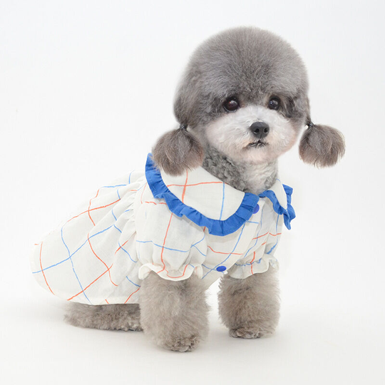 Pet shirt puppy shirt pet skirt dog skirt pet clothes dog clothes cat clothes collision color mullet collar edge shirt-blue (m) back length 25 chest