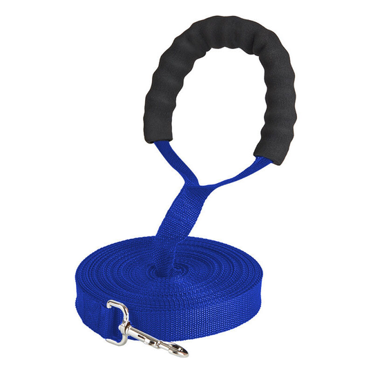 Dog Training Leash with Nylon Padded Handle Pet Leash (3M, blue)