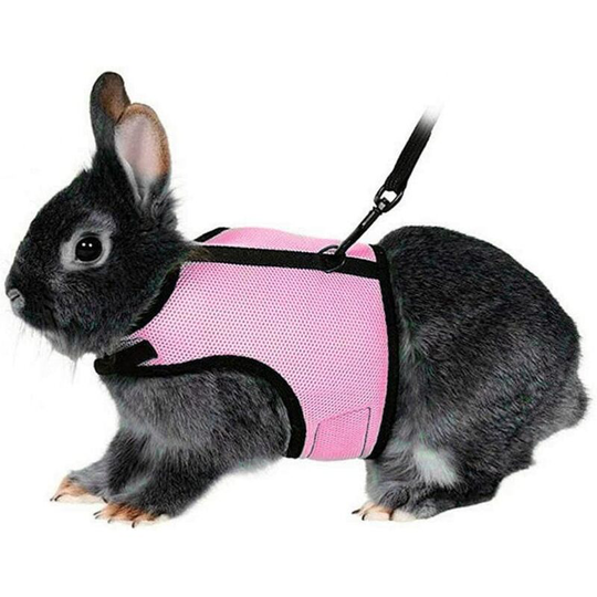 Modou - Soft harness with leash for rabbits - Elastic length: 100 cm - Size l (pink)