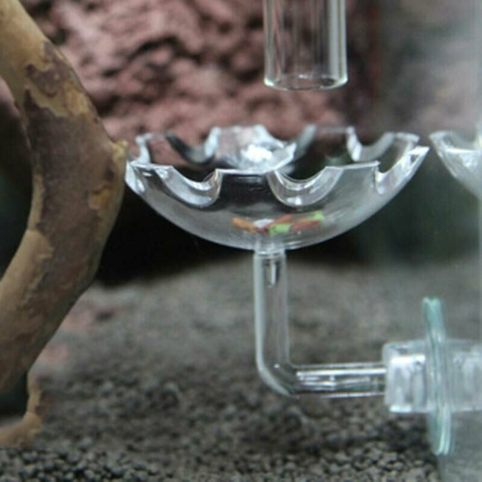 Shrimp Bowl Benthic Pet Food Container For Aquarium Food Saving Tank Supplies