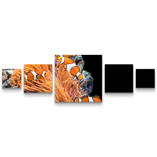 Sea Anemone and Clown Fish in the Aquarium Photographic Print Multi-Piece Image on Canvas