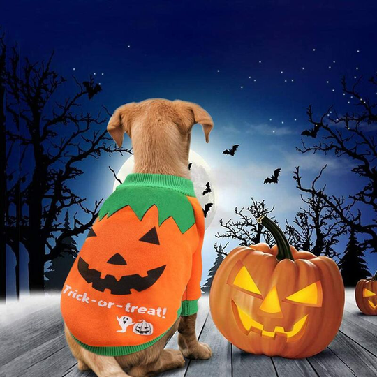 Halloween Pet Costume Pumpkin Dog Costume Coat Jackets Sweater Chihuahua Cats Dress Up Party Halloween Easter Festival Clothes(XXL)