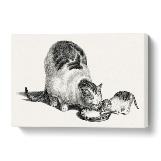 'Cat & Kitten Drinking' by Gottfried Mind - Wrapped Canvas Painting Print