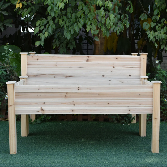Aileene Plant Bed