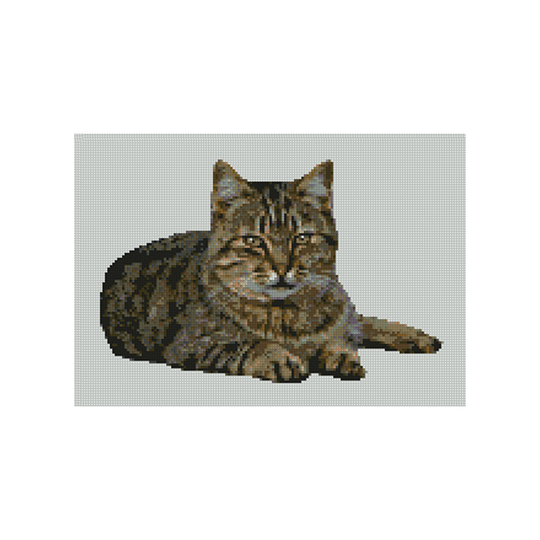 Tabby Cat Kitten Counted Cross Stitch Kit 11.5" x 8" 29cm x 20cm