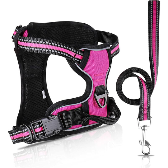 Betterlifegb - Dog harness without traction with leash, perfectly breathable adjustable reflective front harness, ideal for small medium-sized dogs,