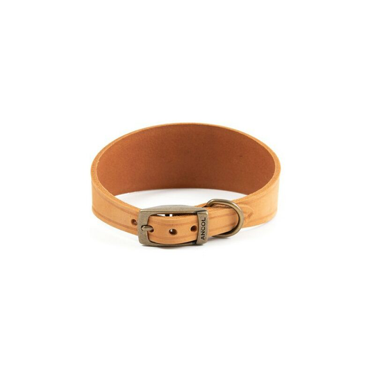 Timberwolf Leather Dog Collar (34cm - 43cm) (Mustard) - Mustard - Ancol