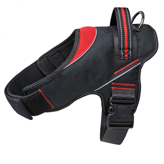 (Small - 13-25kg, Black/Red) Lazy Bones Dog Harness With Safety Buckle, Assorted Colours