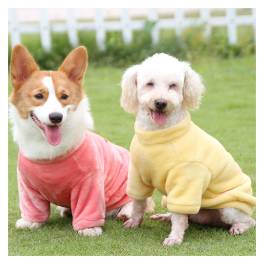 2 funny cartoon pet clothes Teddy Sherry than Bear Corki small and medium-sized dog clothes in winter dogs about 3-5 catties