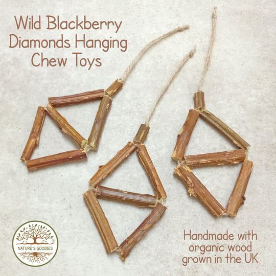 Nature's Goodies Set of 3 Diamonds of Organic Wild Blackberry Sticks Hanging Chew Toy Rabbits Guinea Pigs Chinchillas Small Pets