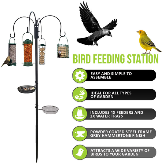 Traditional Bird Feeding Station With Water Bath