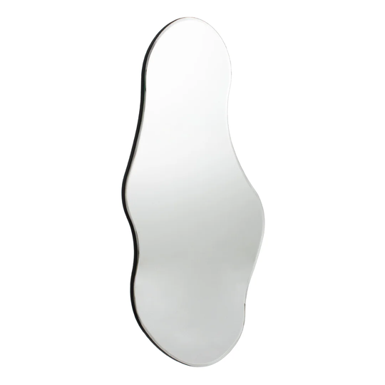 Raposo Novelty Wood Framed Wall Mounted Accent Mirror in Black