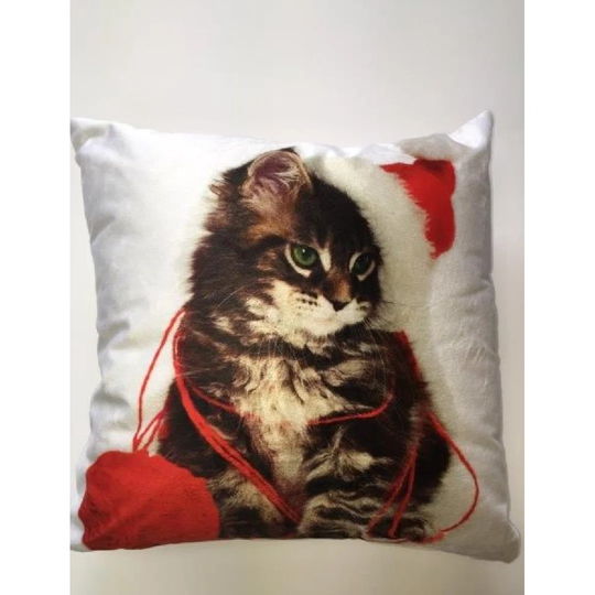 Dharmadhikari Square Scatter Cushion Cover