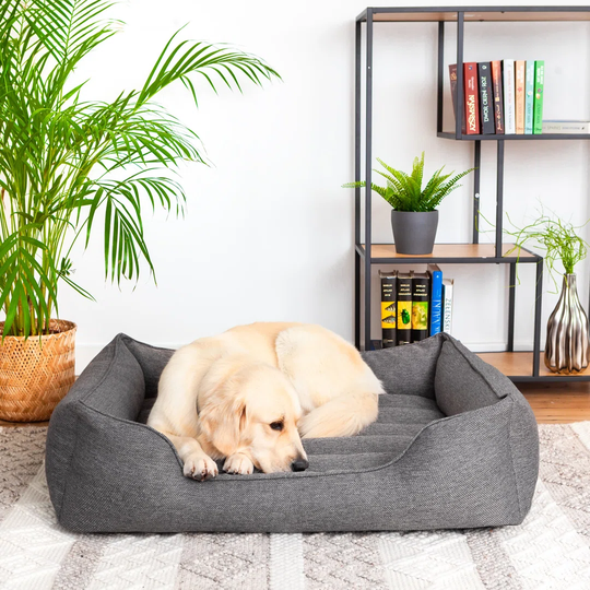 Dendy Bolster Cushion