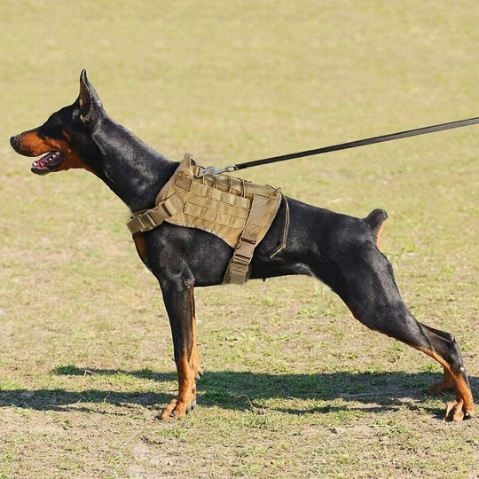 Bearsu - K9 Military Tactical Dog Harness Dog Work Nylon Vest Bungee Lead Leash (1.2m) Training Scent Medium Large German Shepherd Dogs, l
