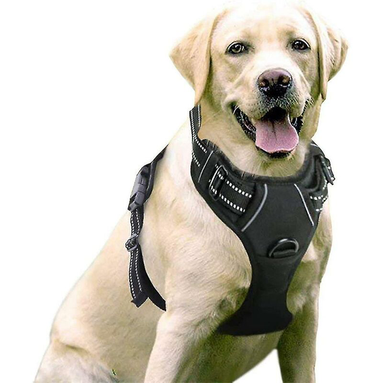 50m Pet Dog Leash, Outdoor Tracking Leash for Large Dogs