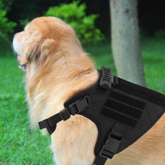 Tactical Training Dog Chest Strap Nylon Dog Vest Waterproof Pet Clothing Large and Medium Dog Training Vest