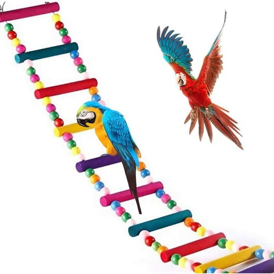 For parrots, ladders, swings, training rainbow bridges, for parrots, parakeets, conures, cockatoos, 4-step ladder