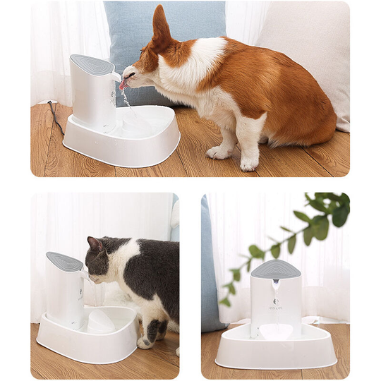 Thsinde - 3 liter drinking fountain, ideal for households with medium-sized dogs, easy-to-clean design, including filter, intelligent silent water