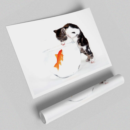 Kitten vs Fish - Graphic Art Print on Paper