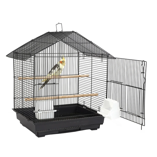 Virgina Cage