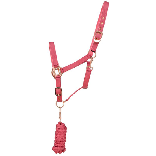 Rose Gold Headcollar and Lead Rope (Cob) (Blush Pink/Rose Gold) - Blush Pink/Rose Gold - HY