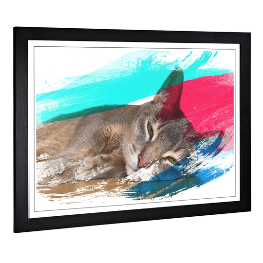'Abyssinian Cat' Framed Art Print
