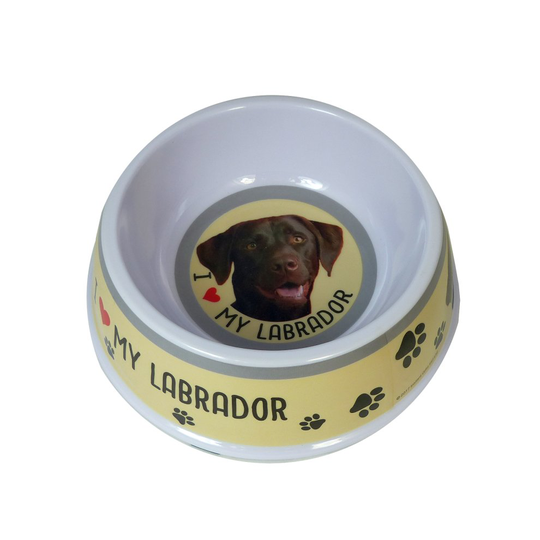 Chocolate Labrador Dog Bowl
