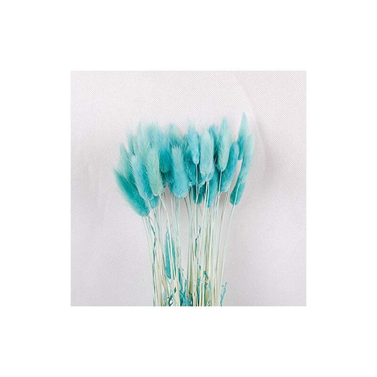 50-60PCS Home Decoration Lagurus Ovatus Rabbit Tail Grass Bouquets Dried Flowers, Uraria Crinita Real Flower, Eternal Fl