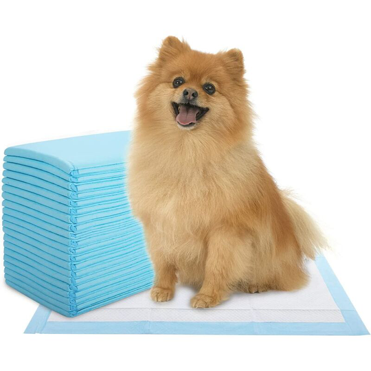 Trainer Mats for Dogs, Pack of 40 Hygienic Training Mats for Dogs, 60 x 60 cm