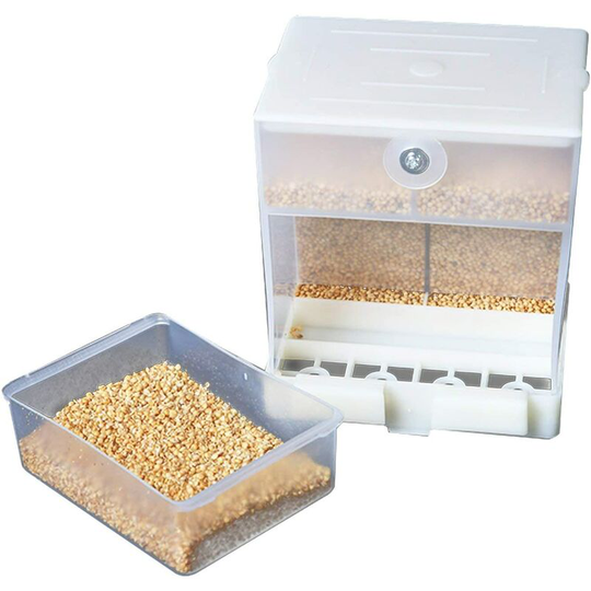 No-Mess Automatic Bird Feeder, Food Container for Parrots, Cardinal, Bluebird and Other Small Wild Birds
