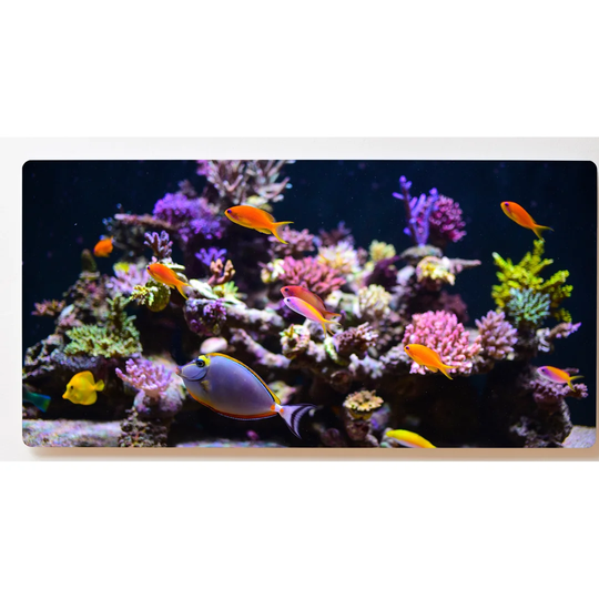 Backlight Motif Wall Picture Aquarium Fish Magnetic Cork Board