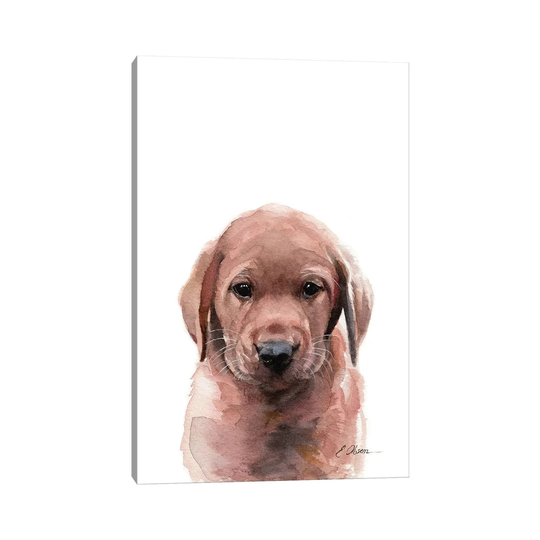 Fox Red Labrador Puppy - Wrapped Canvas Painting Print