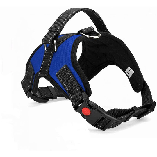 Betterlifegb - No Pull Dog Harness Breathable Adjustable Comfort Free Lead Included for Small Medium Large Dog Best for Training Walking l Blue