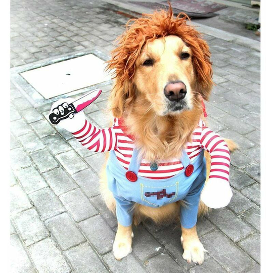 Qersta - Dog Costume Pet Party Costume Cosplay Pet Costume l Carivent