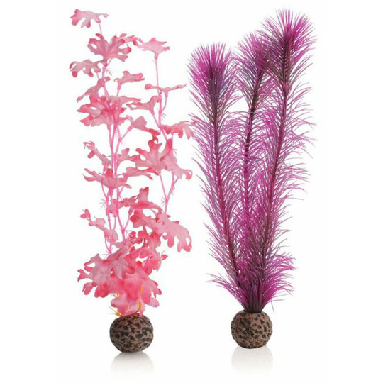 Kelp, Medium, Pink - Biorb