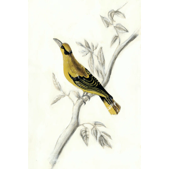 Rustic Aviary II